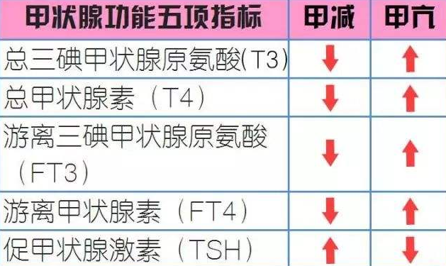 甲功五项检查