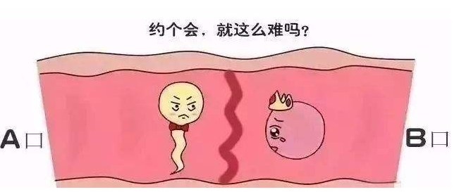 输卵管通而不畅是什么意思