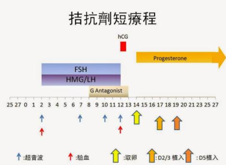 抗结剂方案是什么