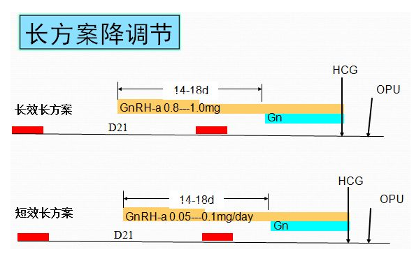 长方案是什么