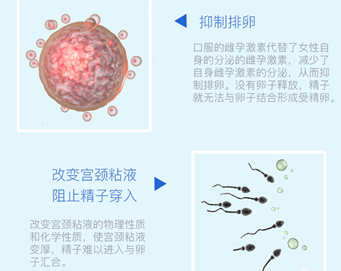 妈富隆