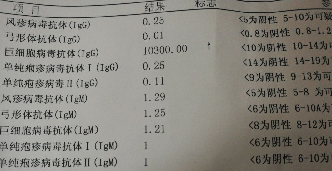 巨细胞病毒