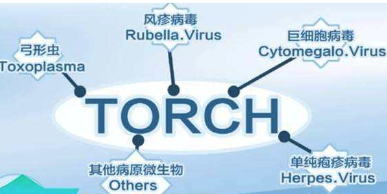 torch优生五项检查什么