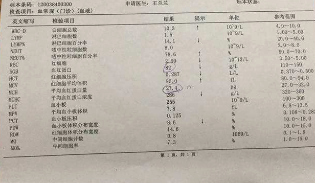 血红蛋白检查什么