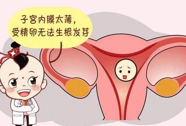 子宫内膜薄饮食要注意什么