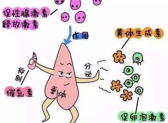 原发性不孕注意事项有哪些