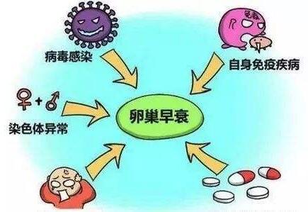 卵巢早衰是什么意思