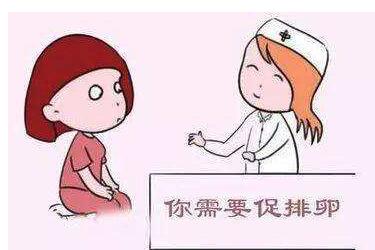 卵泡萎缩还会排卵吗