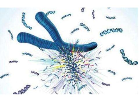 染色体检查有哪些结果