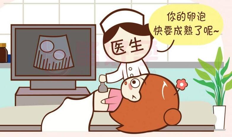 卵泡监测什么时候做