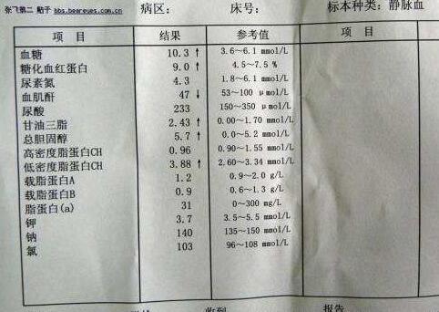 肾功能检查是什么