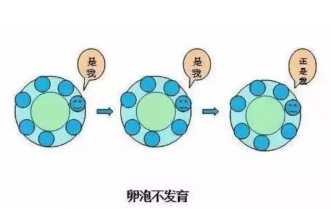 卵泡监测的注意事项有哪些