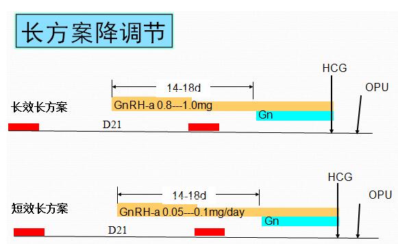 长方案适合哪些人