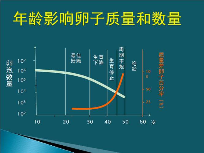 卵子质量判断标准与等级区分