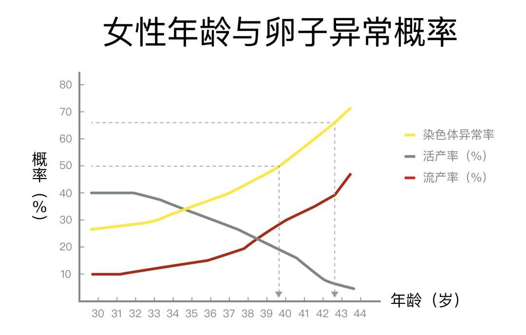 卵子质量判断标准与等级区分