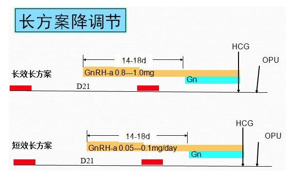 试管促排长方案大概多少天