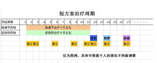 试管促排短方案流程是什么