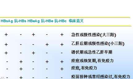 乙肝五项（两对半）小三阳会传染吗？.jpg