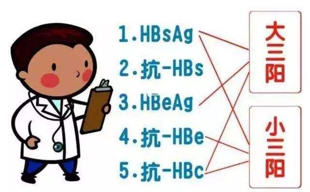 乙肝五项(两对半)大三阳怎么办？