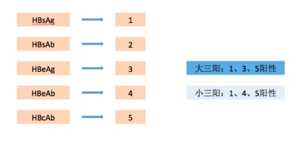 乙肝五项（两对半）大三阳严重吗？.jpg