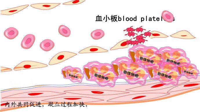 凝血四项的临床意义是什么