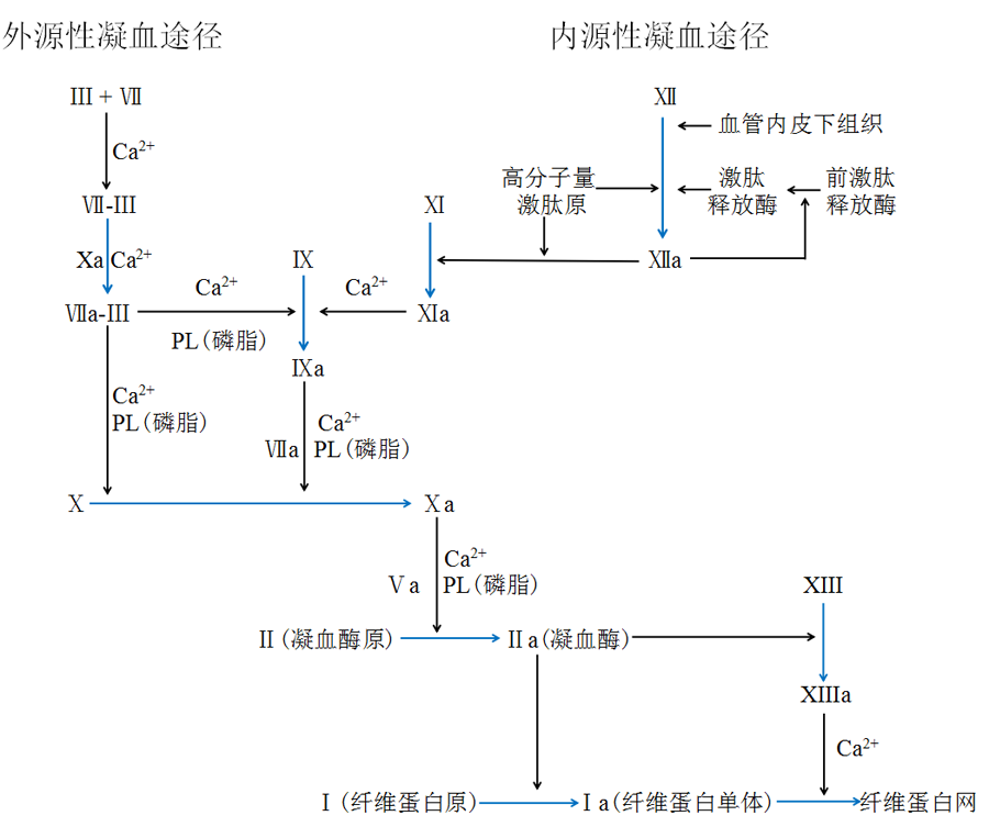 凝血四项检查报告怎么看2.png