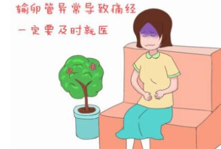 输卵管堵塞会来月经吗