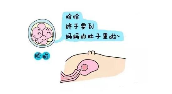 输卵管积水可以做试管婴儿吗