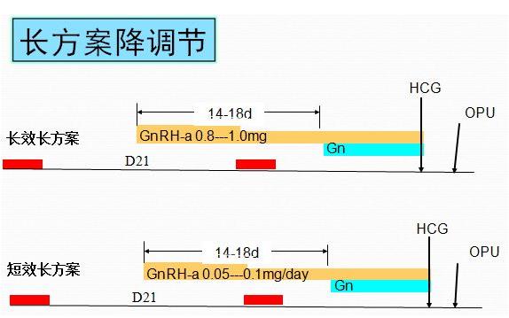 长方案促排