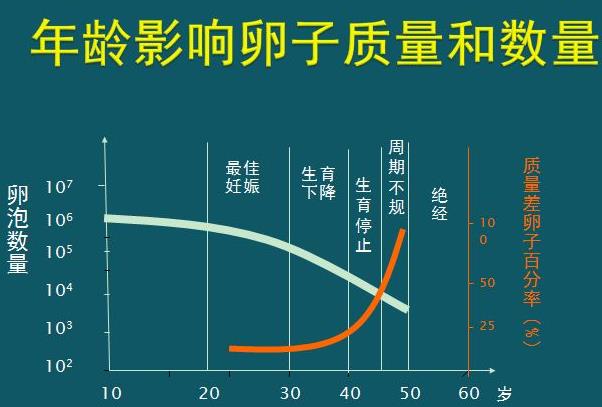 年龄影响卵子质量和数量