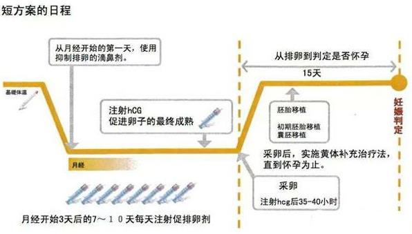 试管短方案降调促排流程