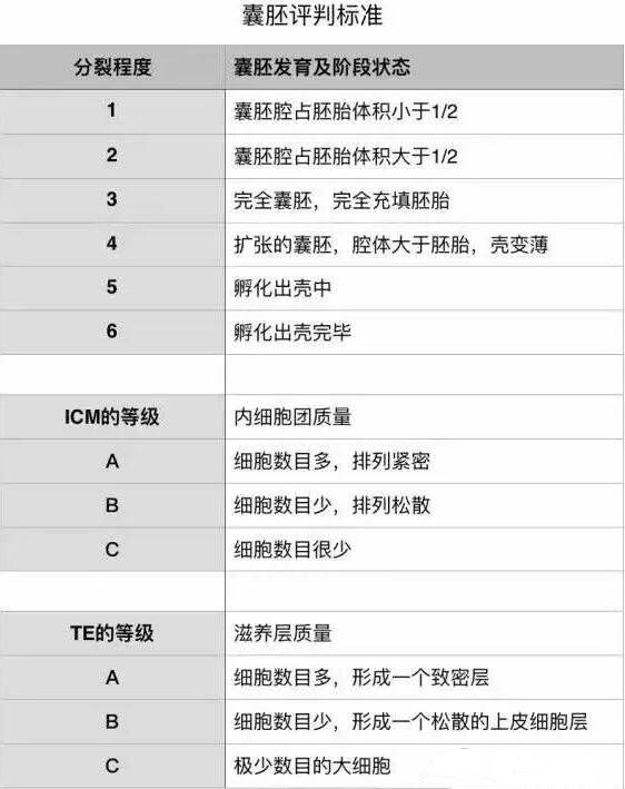 囊胚等级分类