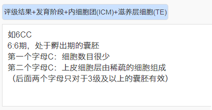6cc囊胚是什么意思