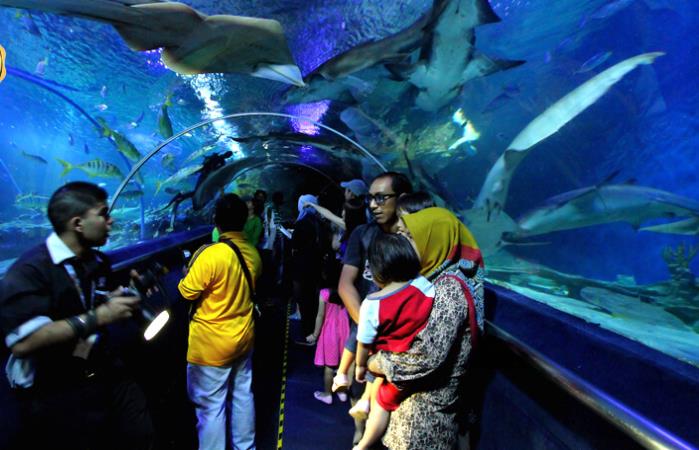 吉隆坡水族馆