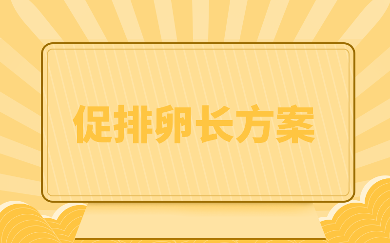 试管促排长方案治疗流程