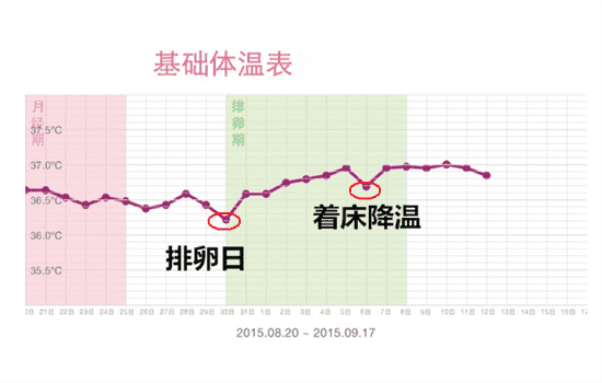 着床降温基础体温表