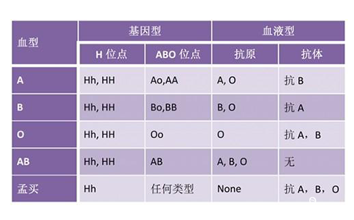 孟买血型遗传规律表