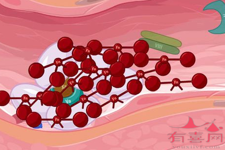 凝血四项正常排除疾病