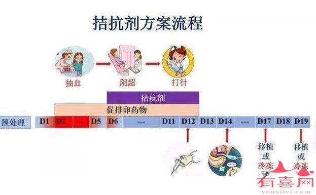 拮抗剂方案流程