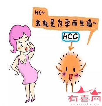 血液HCG检查