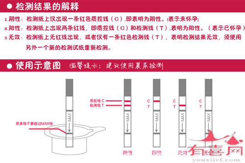 早孕试纸检测结果示意图