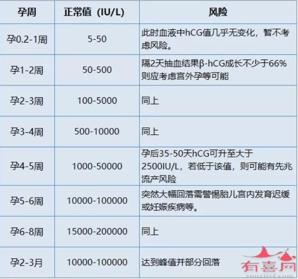 正常妊娠期间血HCG水平