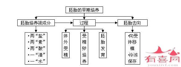 胚胎培养的过程