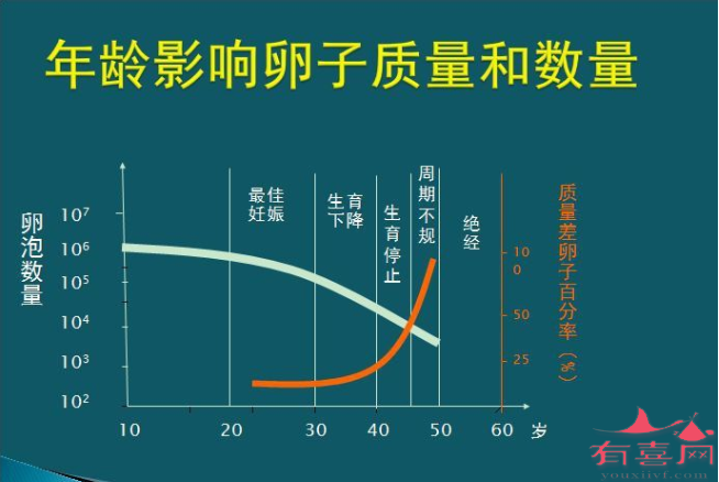 不同年龄段对卵子质量及数量的影响