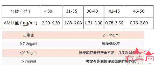 不同年龄AMH数值参考图