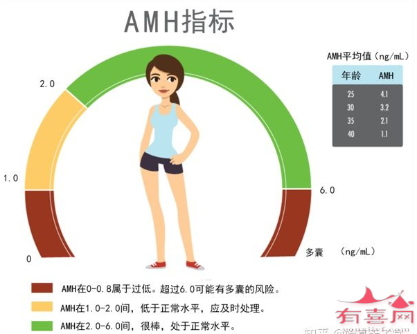 34岁AMH值正常范围应为1.88-6.088ng/ml