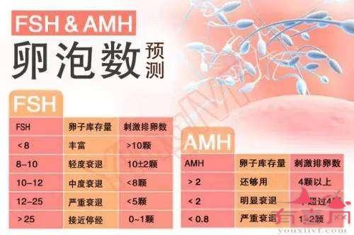 39岁AMH数值正常范围：1.71-5.3 ng/mL