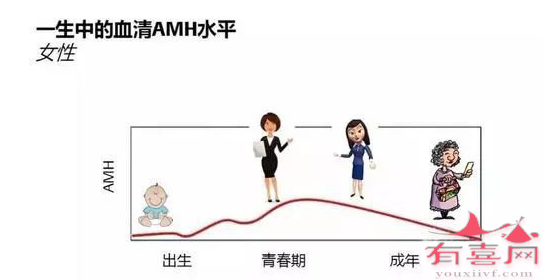 44岁AMH参考范围：0.78-3.56 ng/mL