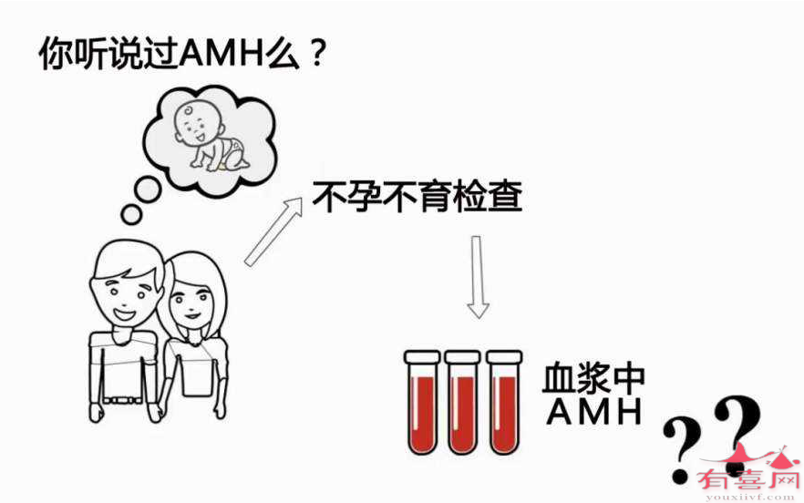 AMH值0.6能做试管婴儿吗