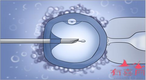 女性AMH值低会不会影响<a href='https://www.youxiivf.com/thailand/3086.html' title='试管成功率' target='_blank'>试管成功率</a>